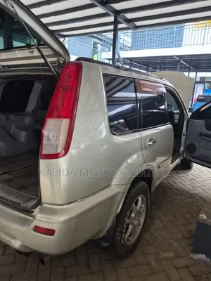 Nissan X-Trail 2.0 2002 Gray