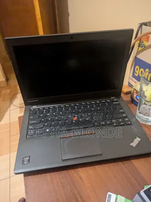 Laptop Lenovo ThinkPad X250 4GB Intel Core i5 HDD 500GB