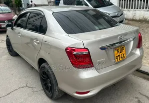 Toyota Axio 2017 Gold
