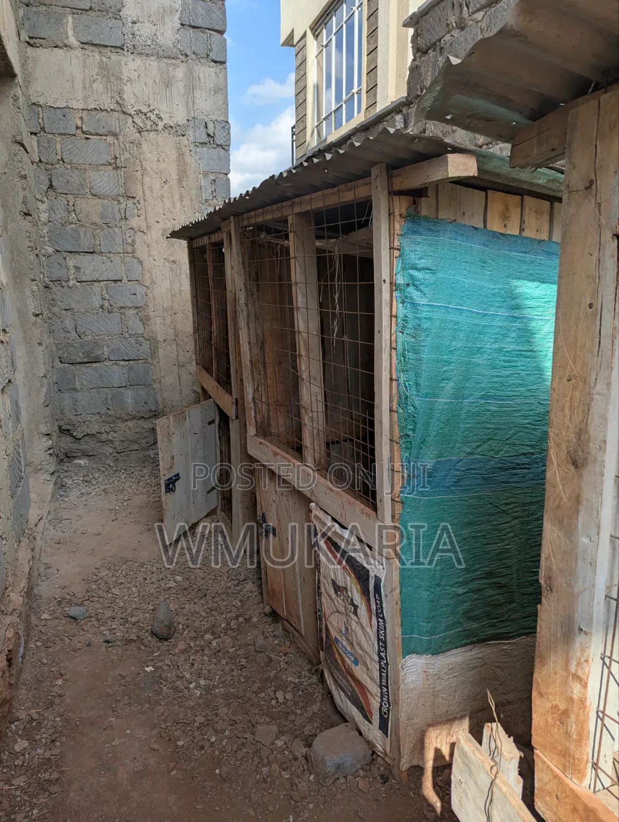 Dog Kennels