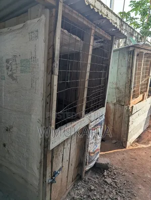 Dog Kennels