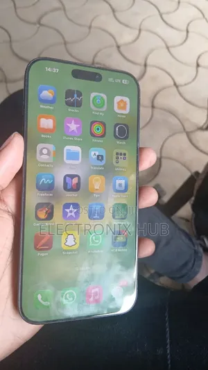 Apple iPhone 16 Pro Max 256 GB Gray