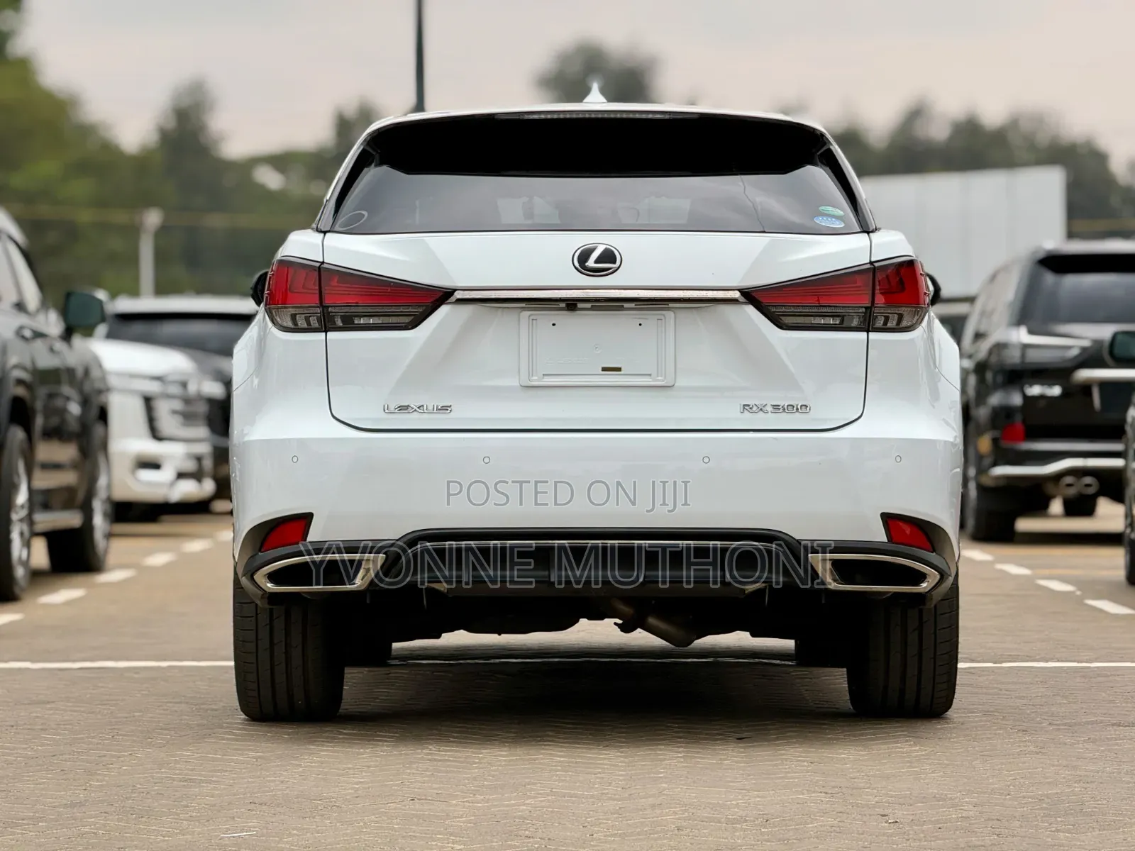 Lexus RX 2019 White