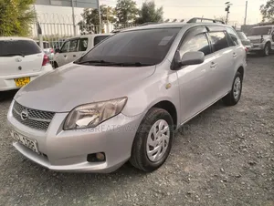 Toyota Corolla Fielder 2010 Silver