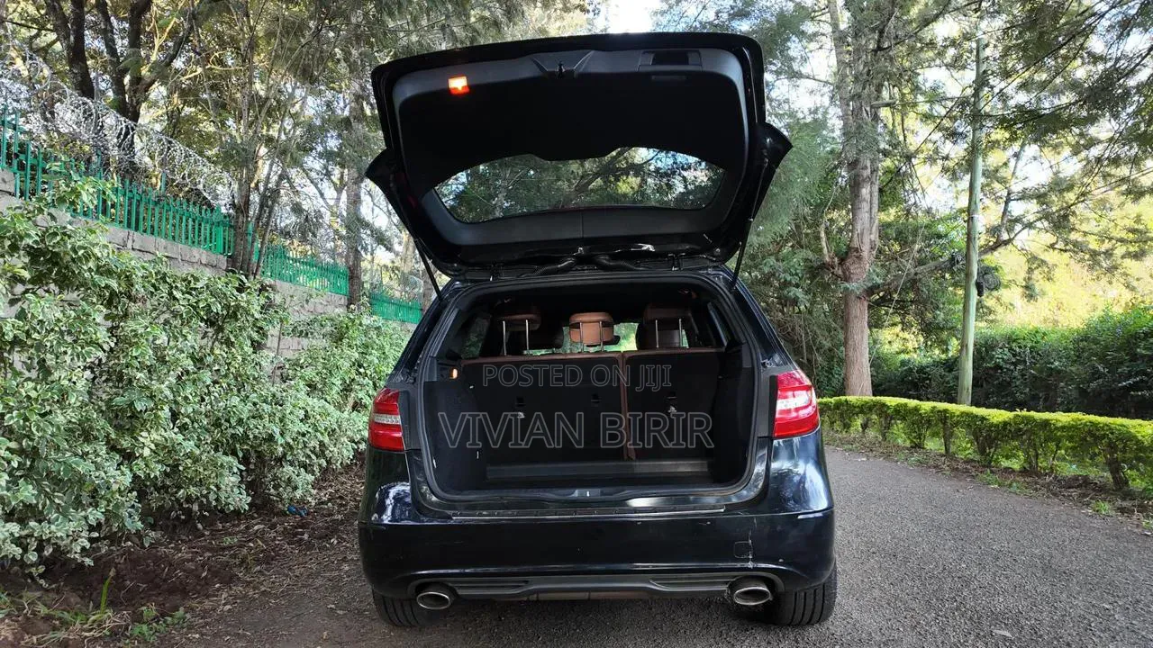 Mercedes-Benz B-Class 2014 Black