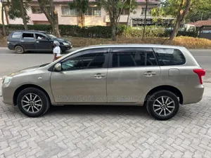 Toyota Corolla Fielder 2008 Gold