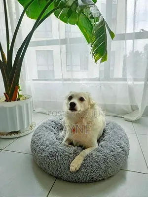 Donut Dog / Cat Bed