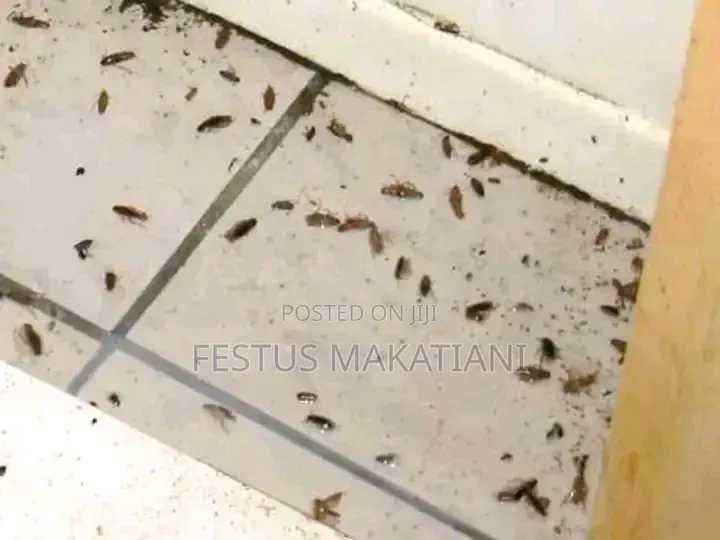 Precious Pest Control