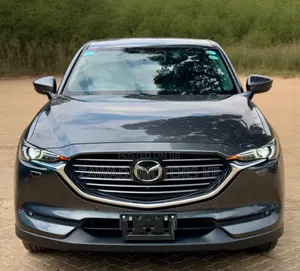 Mazda CX-8 2.2 AWD (7 seater) 2019 Gray