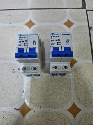CHINT 2-Pole 63A Miniature Circuit Breaker