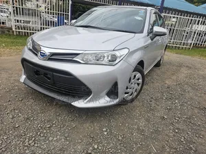 Toyota Axio 2019 Silver
