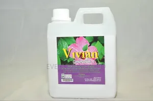 Vivian Airfreshner