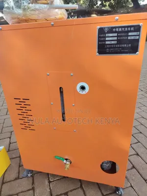 Durable and Low Maintenance Vehicle Steam Cleaner Machine Sunshine