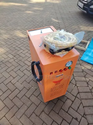 Professional and Profitable Cleaning Machine Steam Washer Sunshine