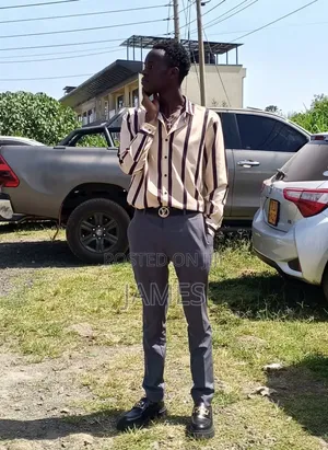 Model Application