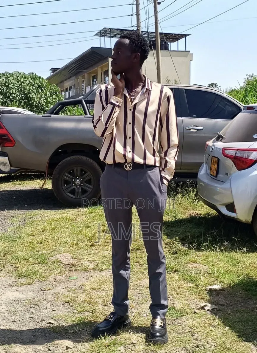 Model Application
