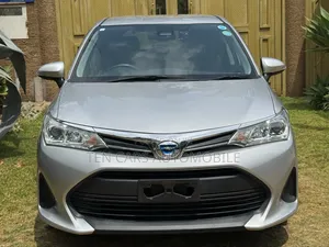 Toyota Corolla Fielder 2019 Silver