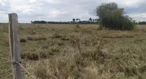 Prime 50x100 Plots for Sale-Naromoru.