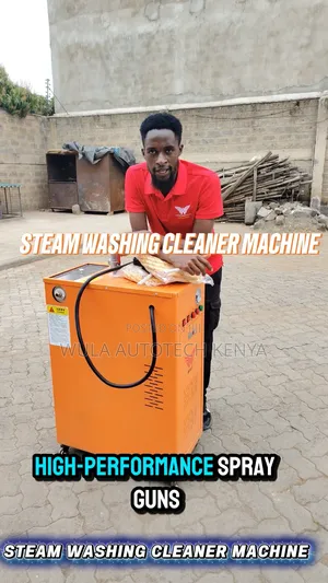 Highly Recommended Cleaning Machine Steam Cleaner Machine Sunshine