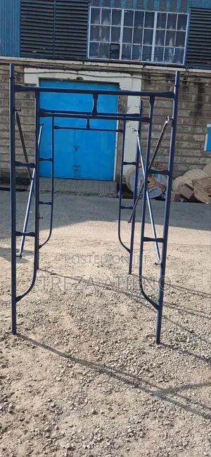 Industrial Scaffolding Ladder