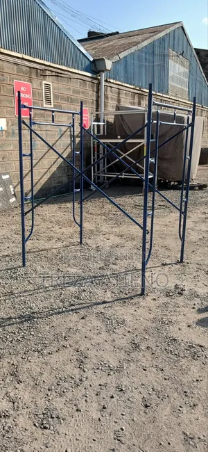 Builders Scaffolding Ladder