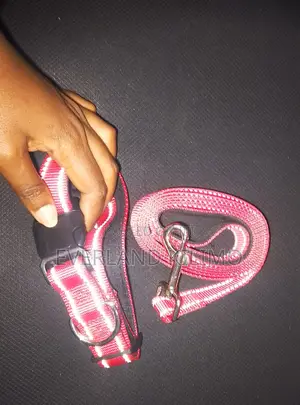 Colored Reflective Dog Collar and Leash
