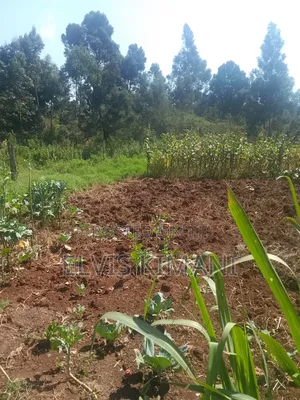1/2 Acres of Land on Sale in Limuru Ndeiya Along ThogotoMutarakwa Road