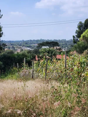 1⁄8 Acre Ngong-Kibiko(Milimani Road)