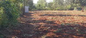 One and a Half Acre Agricultural Land