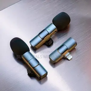 Plug and Play Mini Lapel Lavalier Dual Wireless Microphone