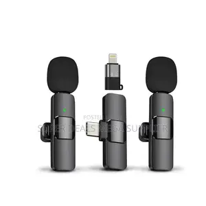 Rechargeable Mini Lapel Lavalier Dual Wireless Microphone