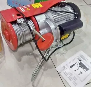 Compact 500kgs Electric Hoist