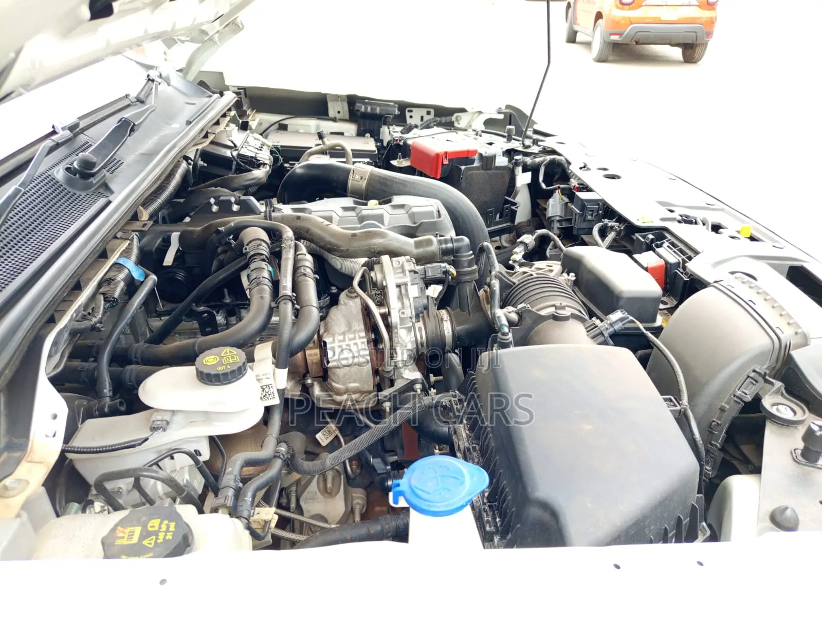 Ford Ranger Wildtrak 2023 White