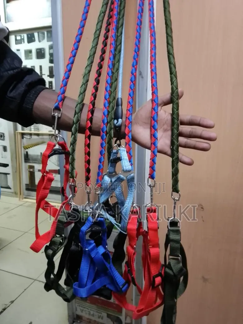 Quality Dog Leash Medium Size
