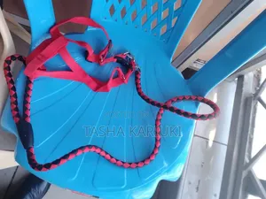 Quality Dog Leash Medium Size