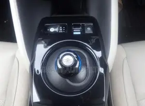 Nissan Leaf S 2020 Blue