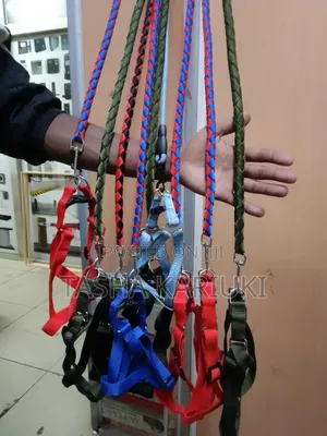 Medium Size Dog Leash