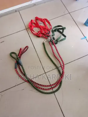 Medium Size Dog Leash