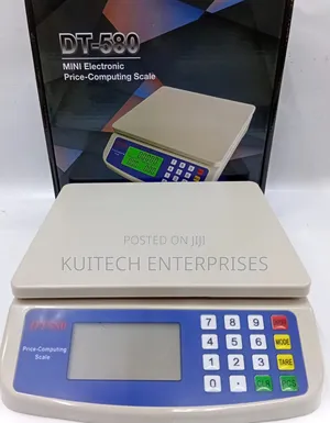 30kg Electronic Digital Scale/Dt 580 Weighing Scale