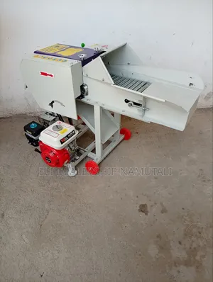 Heavy Duty Design 600kg/Hr Chaff Cutter for Livestock Feed