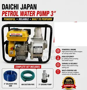 Daichi Japan Petrol Water Pump 3