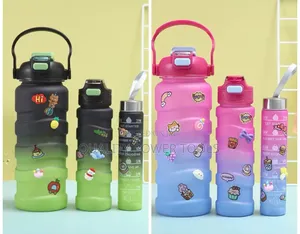3-Piece Motivational Water Bottle Set With a Frosted,