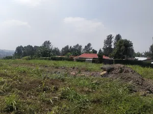 Commercial/Residential Plots for Sale Near Kiambu Town