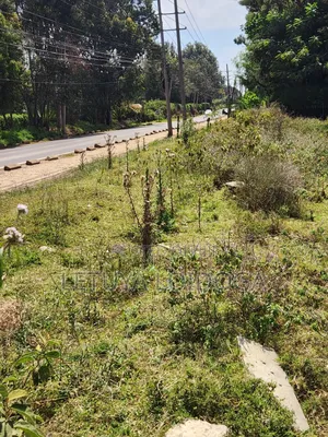 Prime 1-Acre Karen