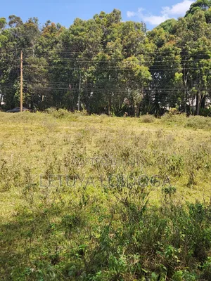 Prime 1-Acre Karen
