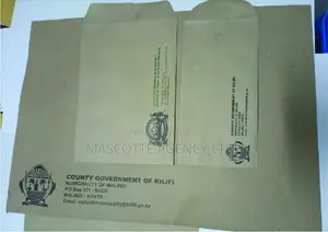 Printed Professional Envelopes
