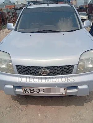 Nissan X-Trail 2006 Gray