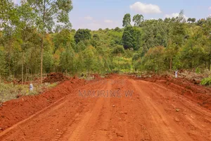 Kamangu-Kikuyu Plots