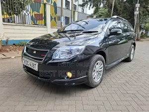 Toyota Corolla Fielder 2009 Black