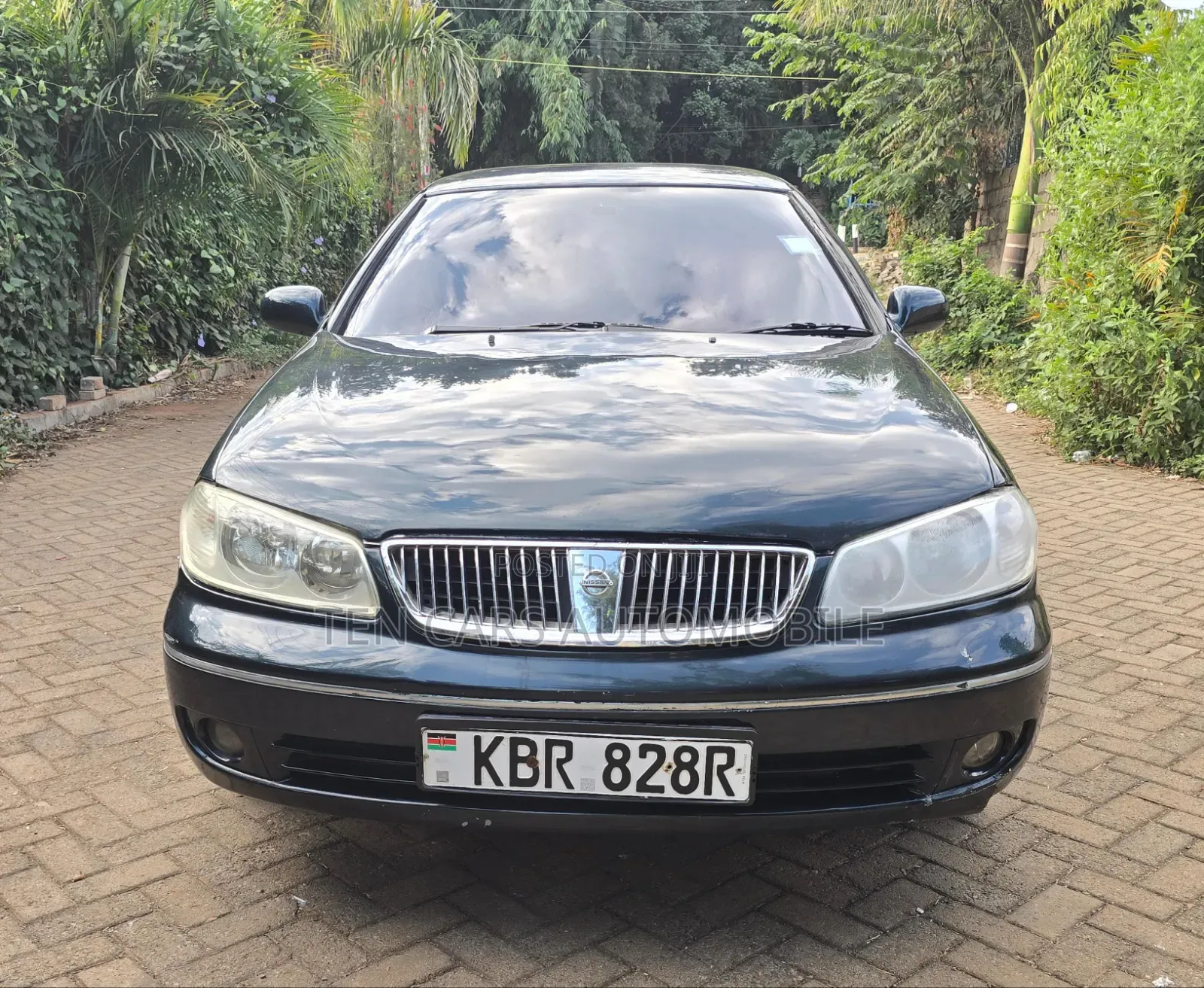 Nissan Bluebird 2005 Blue